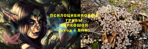 мяу мяу мука Алзамай