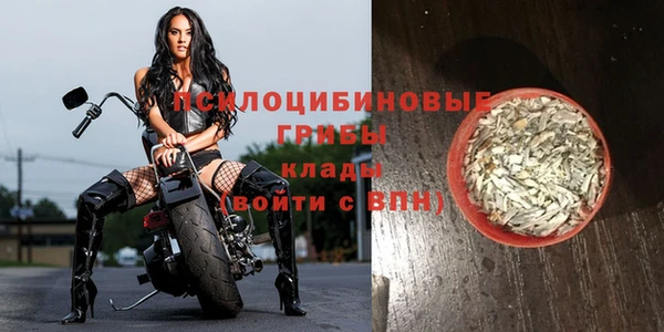сатива Алексин