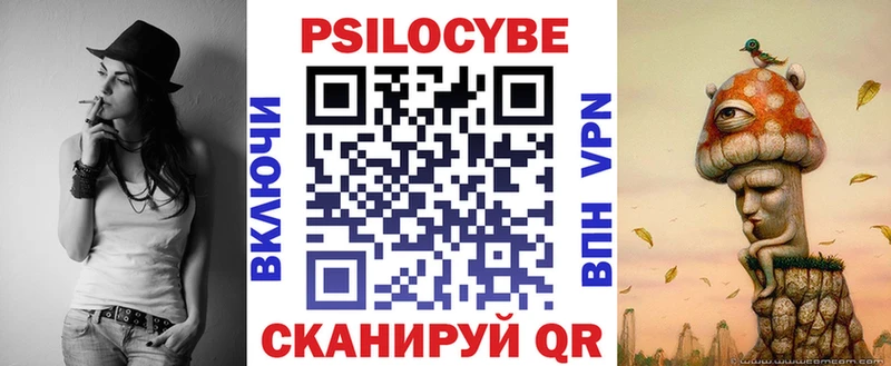 продажа наркотиков  кракен ССЫЛКА  Псилоцибиновые грибы Psilocybe  Димитровград 